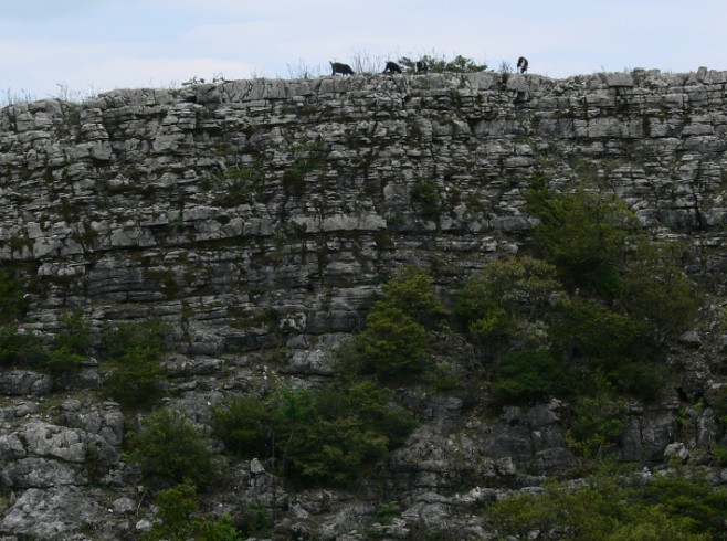 ����ս����ַ